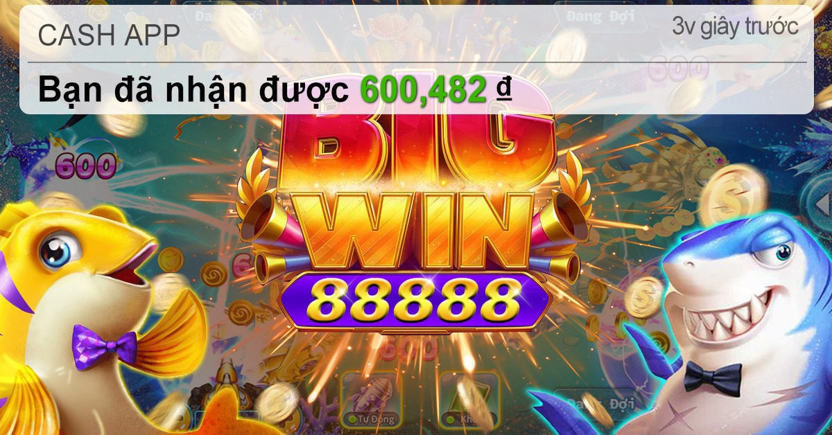 yaz888